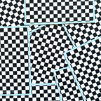 Checkered Binder Filler