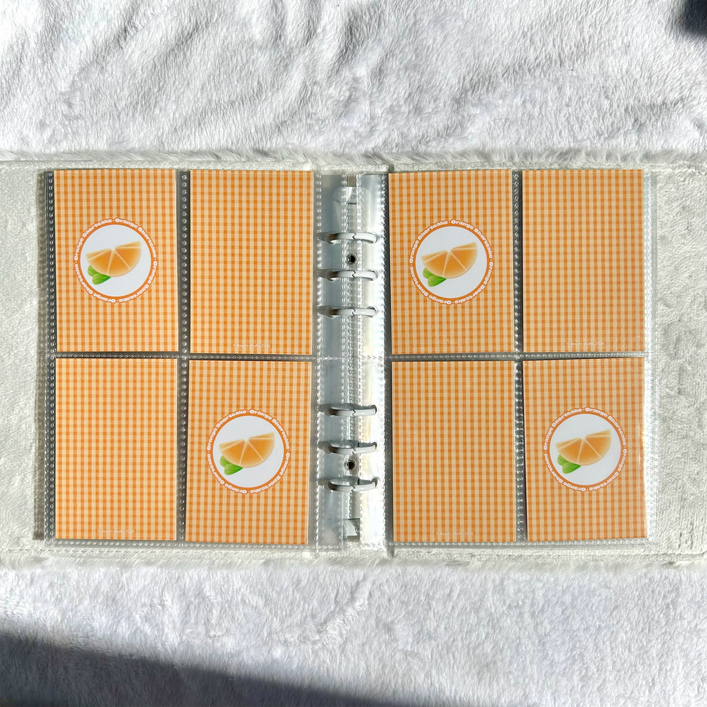 Fruit Binder Filler