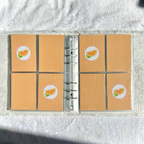 Fruit Binder Filler