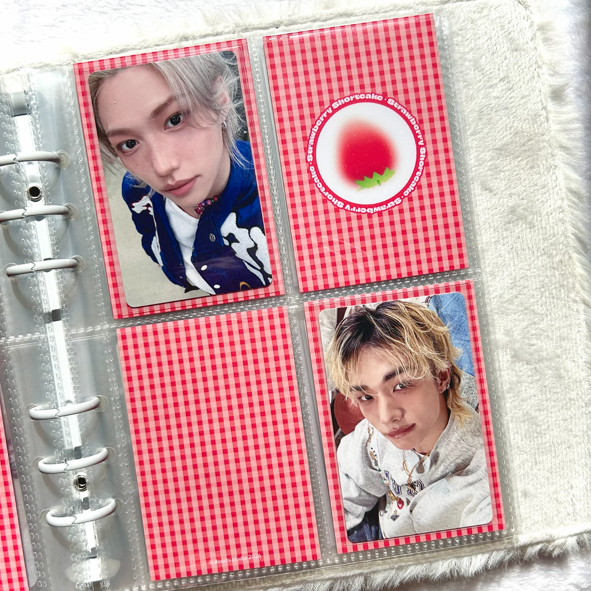 Fruit Binder Filler